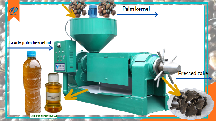 Máy ép hạt nhân cầm tay trục vít đơn.png